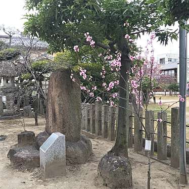 タエゾーさんが投稿した桜井町神社のお店首途八幡宮/カドデハチマングウの写真