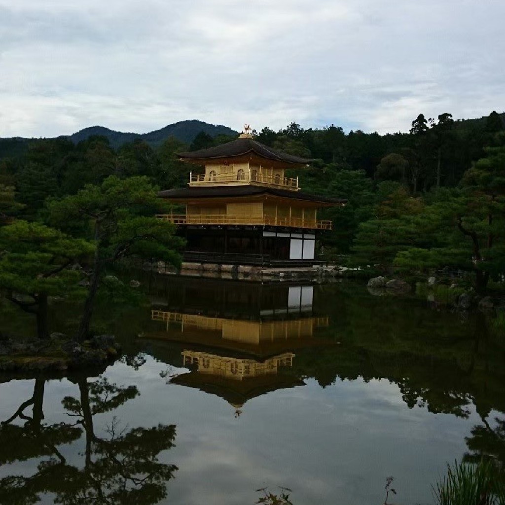実際訪問したユーザーが直接撮影して投稿した泉涌寺山内町寺舎利殿の写真