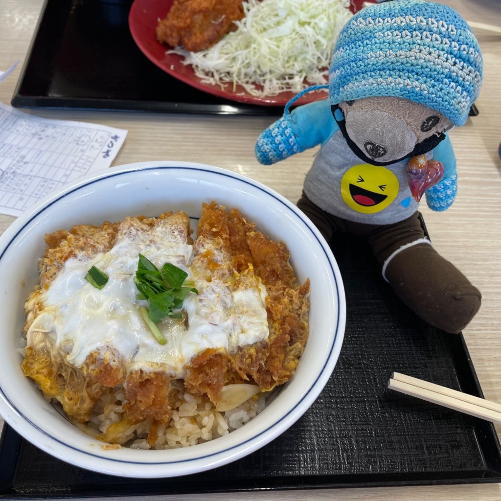 ユーザーが投稿したカツ丼(梅)の写真 - 実際訪問したユーザーが直接撮影して投稿した円正寺とんかつかつや さいたま円正寺店の写真