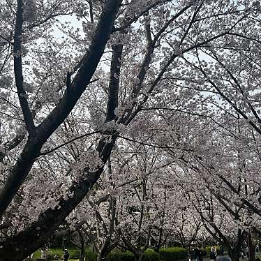 ベティさんの家旭公園(旭公園)体育館のundefinedに実際訪問訪問したユーザーunknownさんが新しく投稿した新着口コミの写真