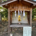 実際訪問したユーザーが直接撮影して投稿した西の庄神社石坐神社の写真