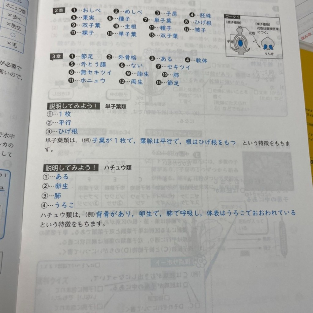 実際訪問したユーザーが直接撮影して投稿した御前崎和食 / 日本料理さわい天の写真