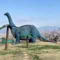 実際訪問したユーザーが直接撮影して投稿した篠ノ井岡田植物園 / 樹木園長野市茶臼山恐竜園・自然植物園の写真