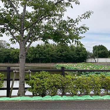 実際訪問したユーザーが直接撮影して投稿した生実町湖沼 / 池生実池の写真