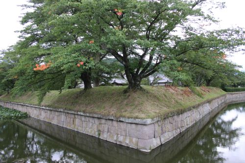 実際訪問したユーザーが直接撮影して投稿した田口城 / 城跡龍岡城五稜郭の写真