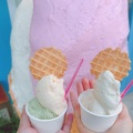 実際訪問したユーザーが直接撮影して投稿した海岸通スイーツYokohama SORAiRO gelatoの写真