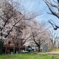 実際訪問したユーザーが直接撮影して投稿した糸屋町公園中大江公園の写真