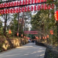 実際訪問したユーザーが直接撮影して投稿した八幡神社大崎八幡宮の写真