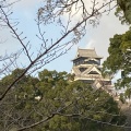 実際訪問したユーザーが直接撮影して投稿した本丸城 / 城跡熊本城の写真