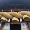 実際訪問したユーザーが直接撮影して投稿した(番地が直接)神社諏訪大社 下社秋宮の写真