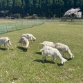 実際訪問したユーザーが直接撮影して投稿した高森公園月廻り公園の写真