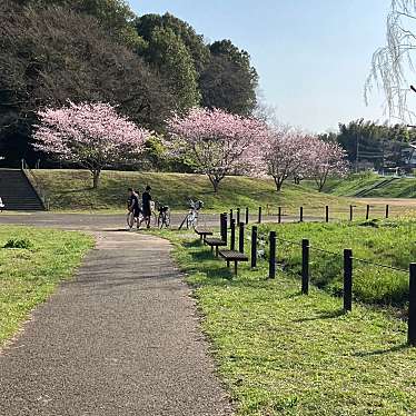 守谷城址公園のundefinedに実際訪問訪問したユーザーunknownさんが新しく投稿した新着口コミの写真