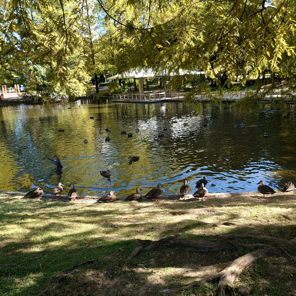 実際訪問したユーザーが直接撮影して投稿した六野公園神宮東公園の写真