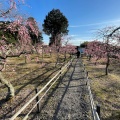 実際訪問したユーザーが直接撮影して投稿した国分町神社菅原神社の写真