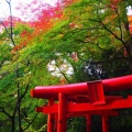 実際訪問したユーザーが直接撮影して投稿した村松寺油山寺の写真