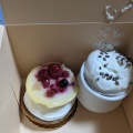 プティガトー - 実際訪問したユーザーが直接撮影して投稿した文京町ケーキパティスリー Labeilleの写真のメニュー情報