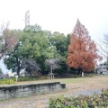 実際訪問したユーザーが直接撮影して投稿した八雲北町公園下島公園の写真