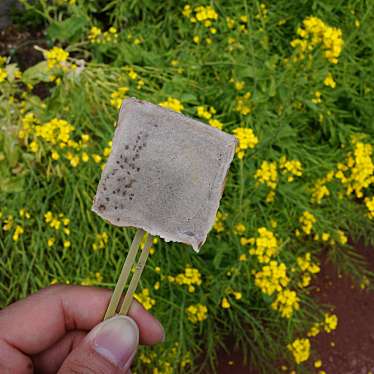 実際訪問したユーザーが直接撮影して投稿した吉野町和菓子馬場製菓 仙巌園店の写真