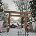 実際訪問したユーザーが直接撮影して投稿した東旭川南一条神社旭川神社の写真