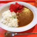 甘口 - 実際訪問したユーザーが直接撮影して投稿した東境町カレーカーリーちゃんカレー 刈谷ハイウェイオアシス店の写真のメニュー情報