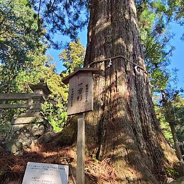 実際訪問したユーザーが直接撮影して投稿した崎神社大皇神社の写真