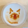 チャイ - 実際訪問したユーザーが直接撮影して投稿した栄テーマカフェMoff animal cafe 名古屋PARCO店の写真のメニュー情報