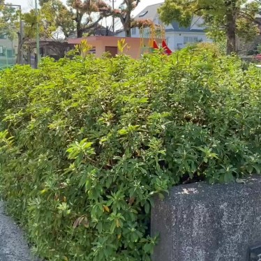 実際訪問したユーザーが直接撮影して投稿した荒井町公園西中根公園の写真