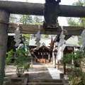 実際訪問したユーザーが直接撮影して投稿した豊玉南神社須賀神社の写真