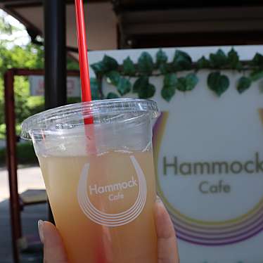 実際訪問したユーザーが直接撮影して投稿した平野カフェHammock Cafeの写真