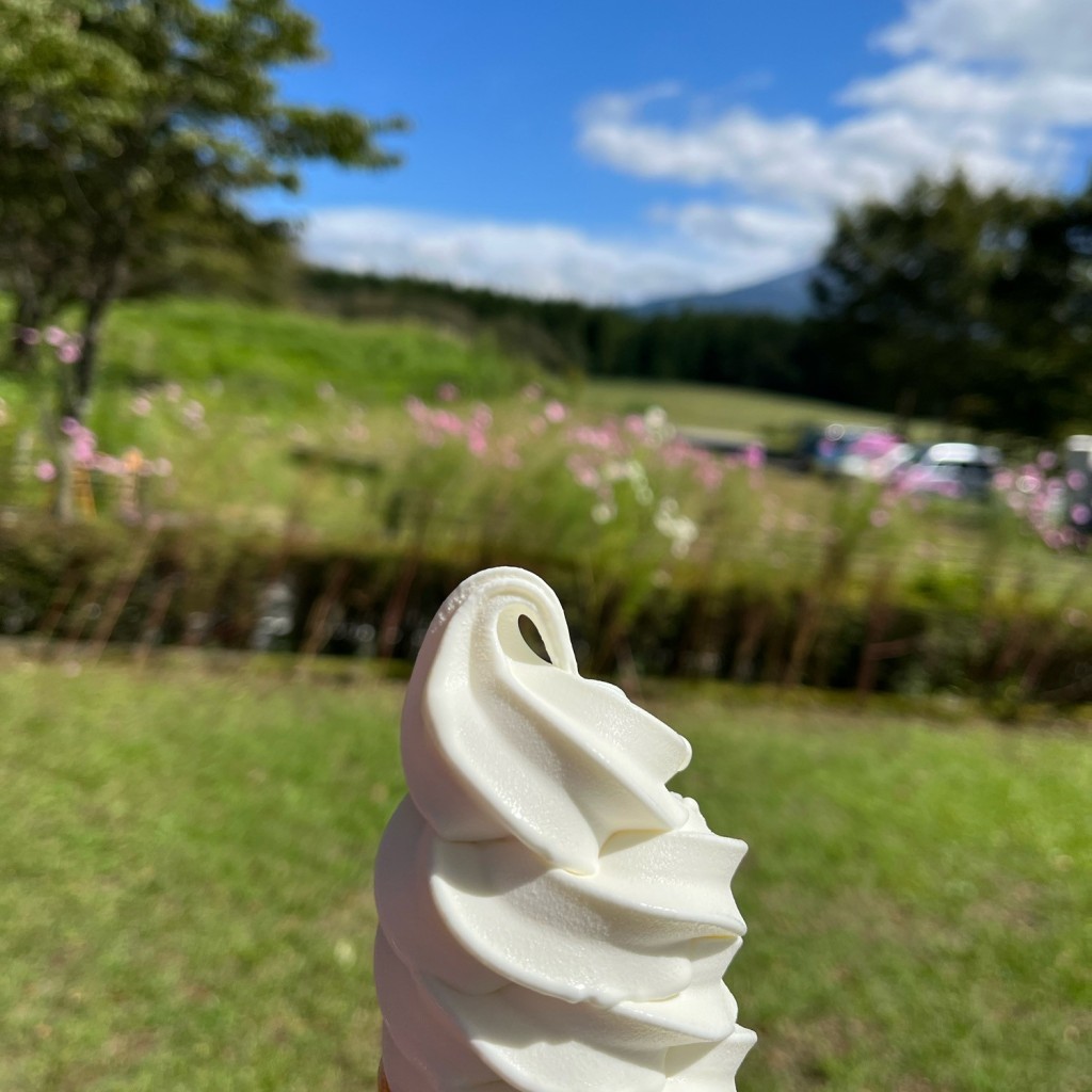 ユーザーが投稿した牛乳ソフトクリームの写真 - 実際訪問したユーザーが直接撮影して投稿した根原アイスクリームアイスクリーム工房・直売所の写真
