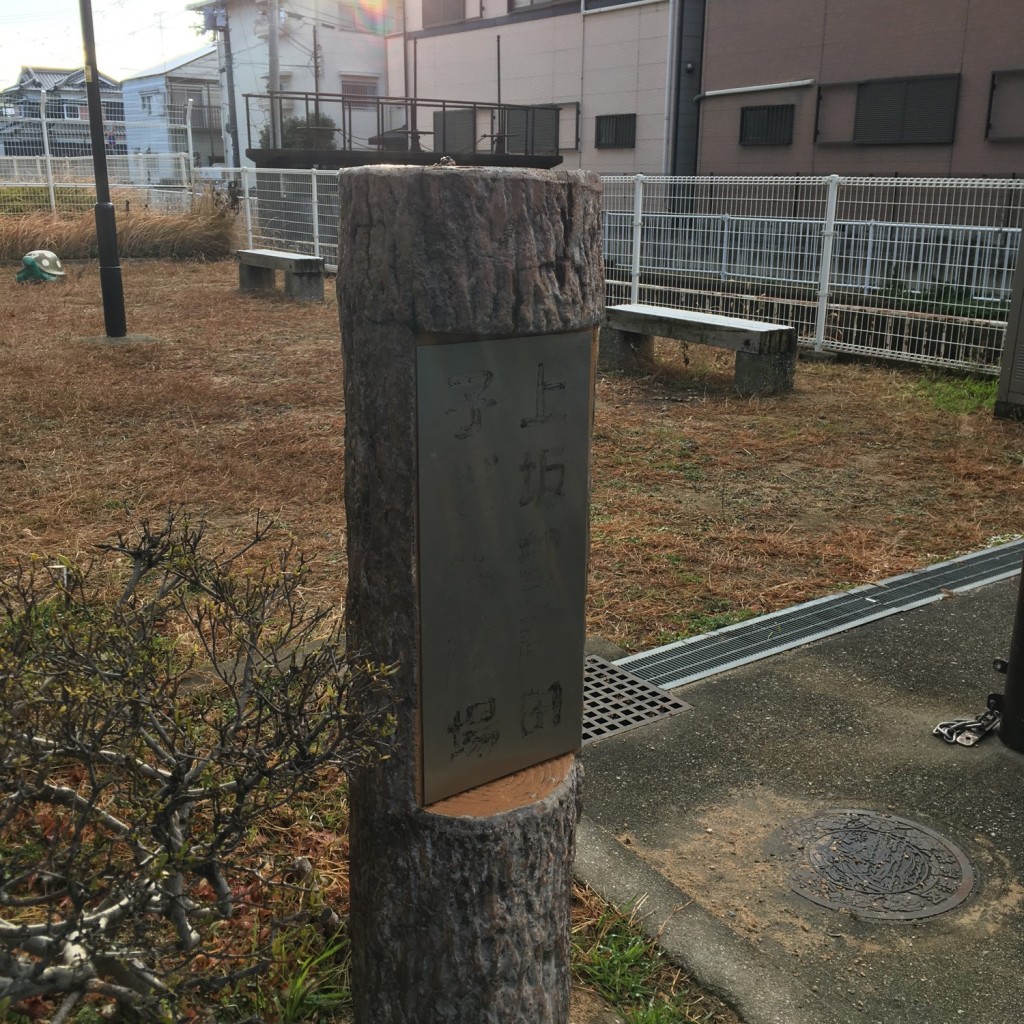 ぶどううり・くすこさんが投稿した上坂部公園のお店上坂部芦田子ども広場の写真