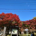 実際訪問したユーザーが直接撮影して投稿した見祢山神社土津神社の写真