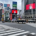 実際訪問したユーザーが直接撮影して投稿した道玄坂通り渋谷スクランブル交差点の写真