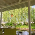 実際訪問したユーザーが直接撮影して投稿した奥野カフェお池カフェ フルールの写真