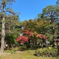 実際訪問したユーザーが直接撮影して投稿した丸の内公園町公園芦城公園の写真