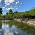 実際訪問したユーザーが直接撮影して投稿した馬場町公園鶴岡公園の写真