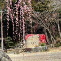 実際訪問したユーザーが直接撮影して投稿した天白町大字平針寺慈眼寺の写真