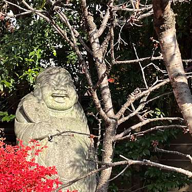 実際訪問したユーザーが直接撮影して投稿した寺千本釈迦堂 大報恩寺の写真