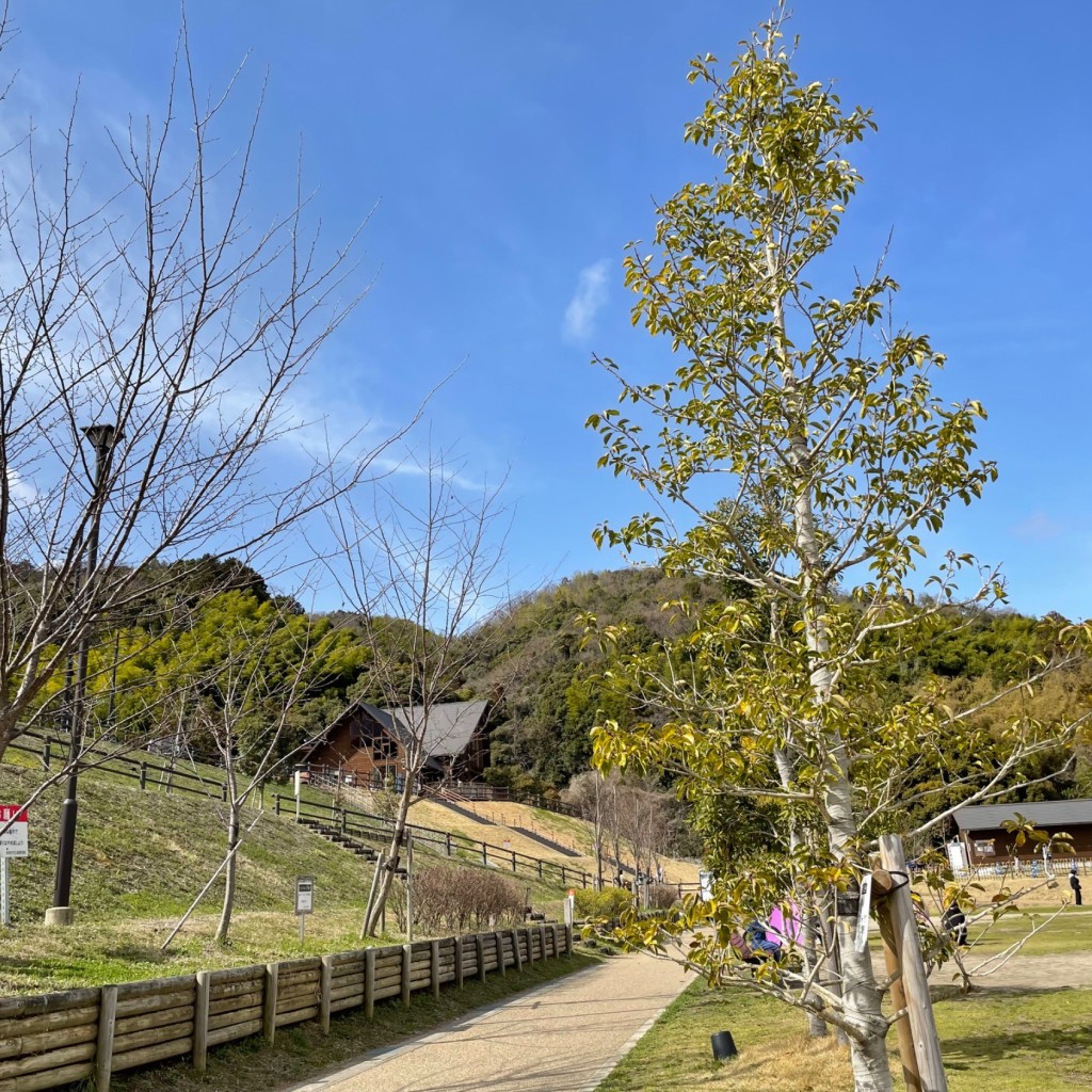 実際訪問したユーザーが直接撮影して投稿した奥海印寺公園西代里山公園の写真