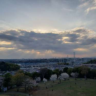 実際訪問したユーザーが直接撮影して投稿した富士見が丘公園川和富士公園の写真