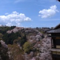 実際訪問したユーザーが直接撮影して投稿した吉野山寺如意輪寺の写真