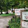 実際訪問したユーザーが直接撮影して投稿した新宿公園花園公園の写真