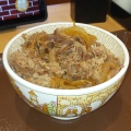 牛丼並 - 実際訪問したユーザーが直接撮影して投稿した古川西館牛丼すき家 4号古川西館店の写真のメニュー情報