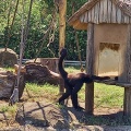 実際訪問したユーザーが直接撮影して投稿した健軍動物園熊本市動植物園の写真