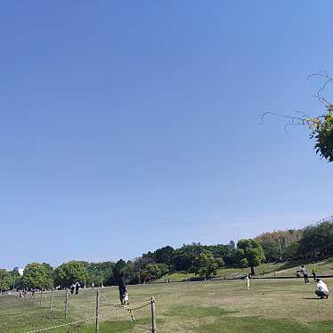 実際訪問したユーザーが直接撮影して投稿した立野町公園松阪市中部台運動公園の写真