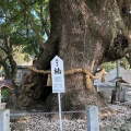 実際訪問したユーザーが直接撮影して投稿した大麻町板東神社大麻比古神社の写真