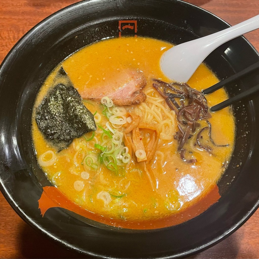 ユーザーが投稿したにんにく味噌ラーメンの写真 - 実際訪問したユーザーが直接撮影して投稿した上三俣ラーメン専門店一代元 加須三俣店の写真