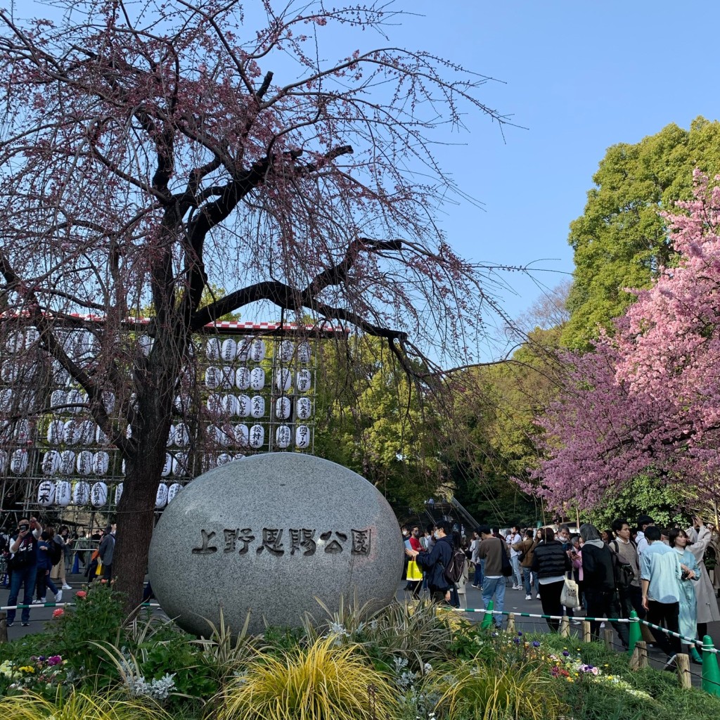 ある大学生の日常さんが投稿した上野公園公園のお店上野恩賜公園/ウエノオンシコウエンの写真