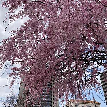 宇都宮城址公園のundefinedに実際訪問訪問したユーザーunknownさんが新しく投稿した新着口コミの写真