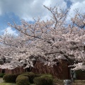 実際訪問したユーザーが直接撮影して投稿した中央港公園千葉ポートパークの写真